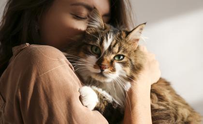 Felpreva cat