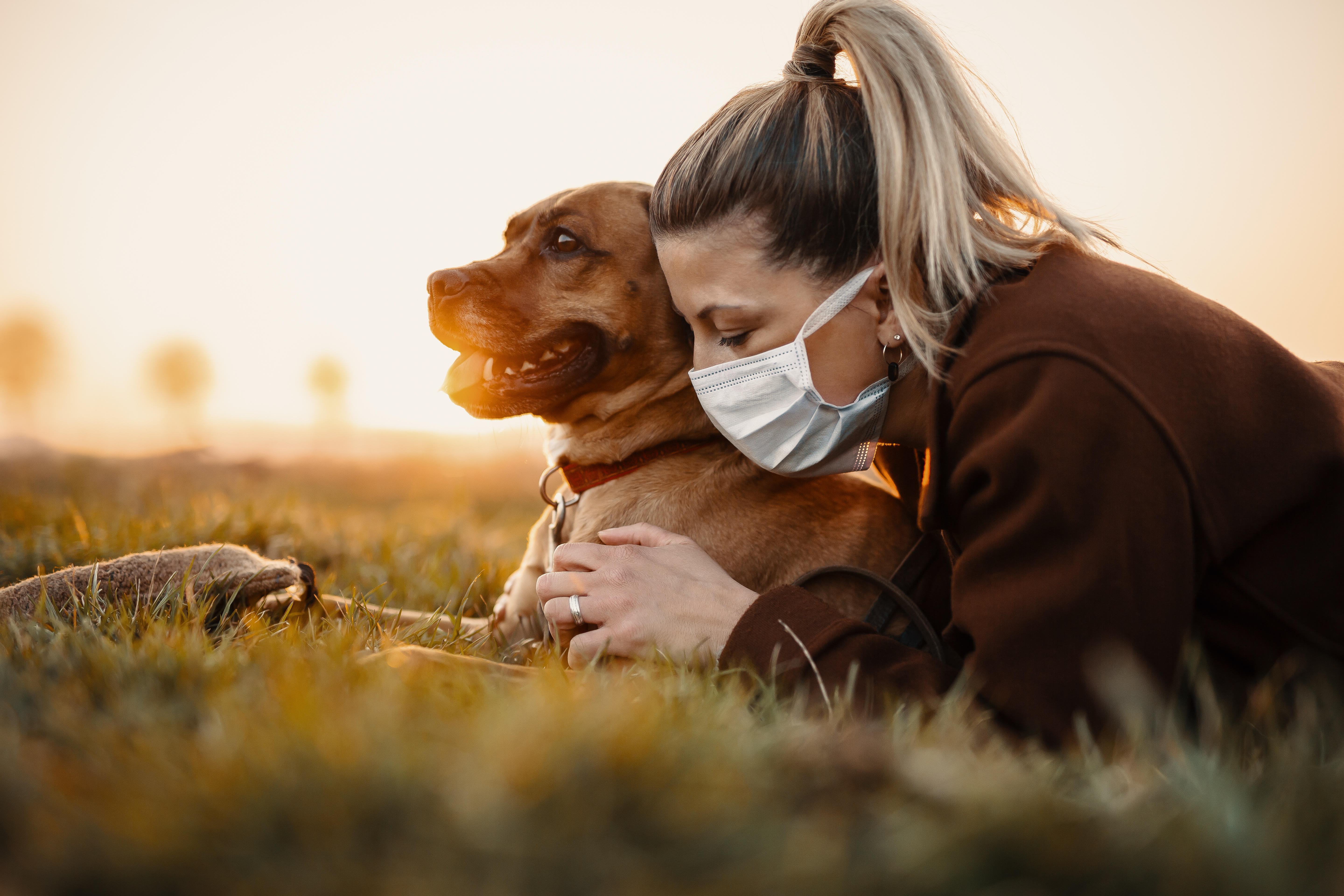 covid-19 and pets