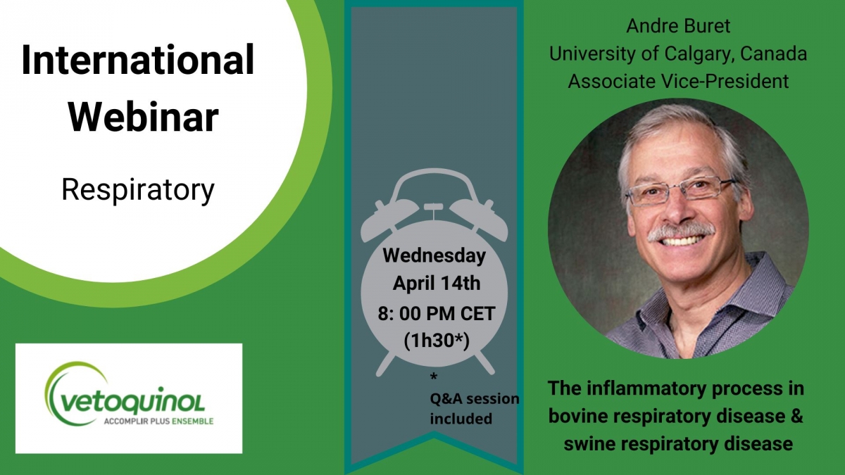 webinar
