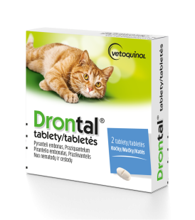 Drontal_cat_old
