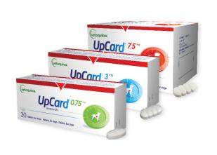 UpCard